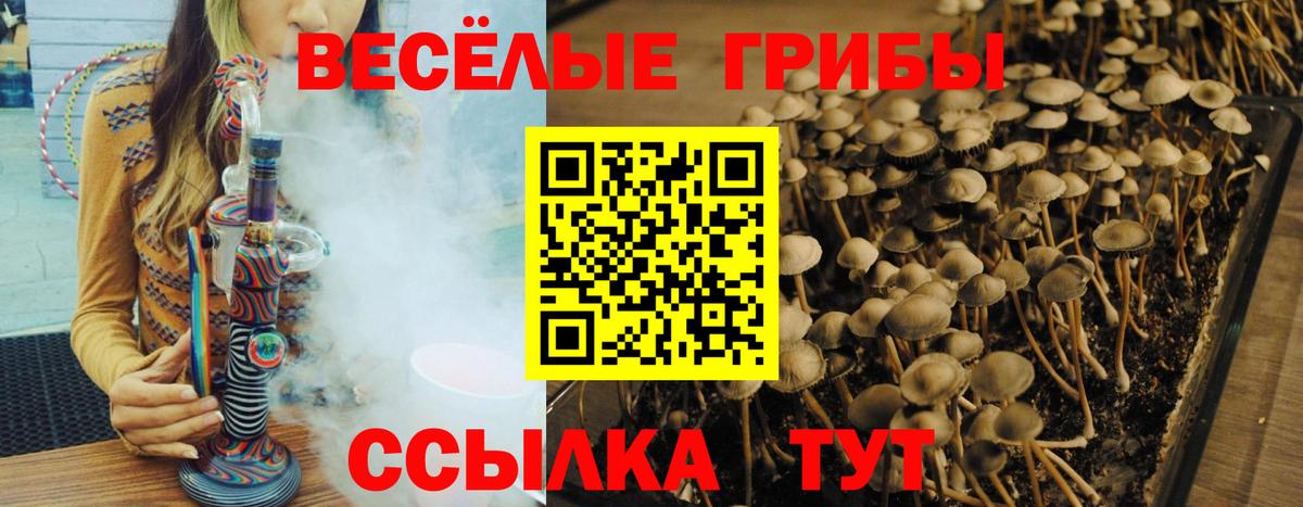 Воткинск  Псилоцибиновые грибы MAGIC MUSHROOMS  Галлюциногенные грибы GOLDEN TEACHER  Вход с VPN 