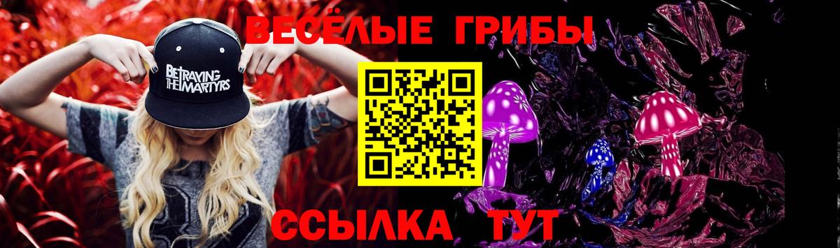 Псилоцибиновые грибы GOLDEN TEACHER Воткинск